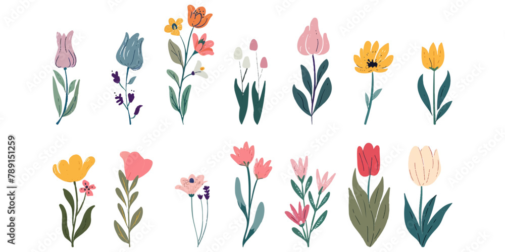 Set of illustrations of beautiful colored flowers on a white background.