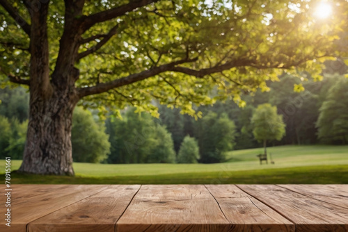 Wooden table top with natural background, 