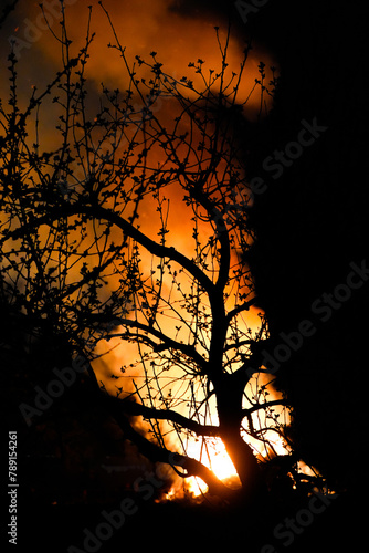 Big fire at night. Fire in nature. Easter fire.  © Elly Miller