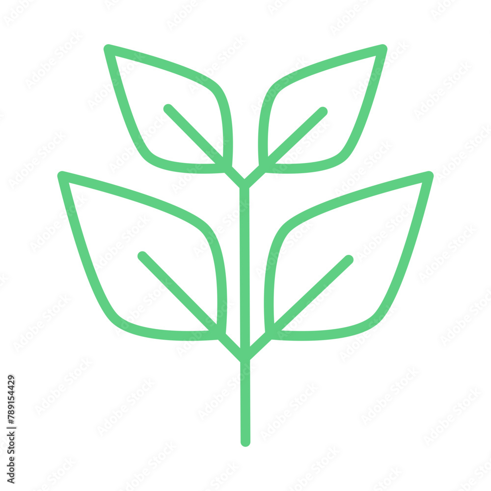 Obraz premium Plant