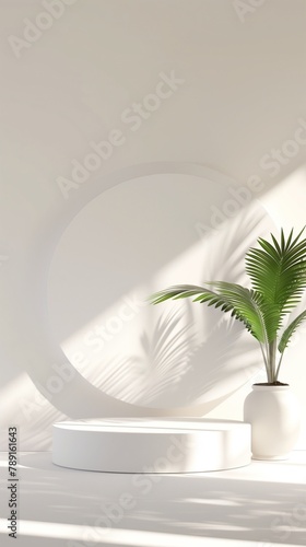 White podium stage display product banding rounded base and palm leaf story background