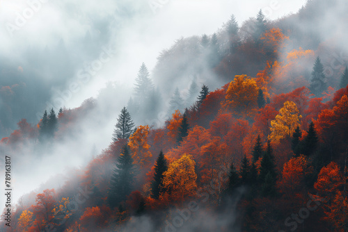 A mystical autumn forest emerges through the mist, with fiery orange and red foliage contrasting against the evergreen trees in a dance of seasonal change.