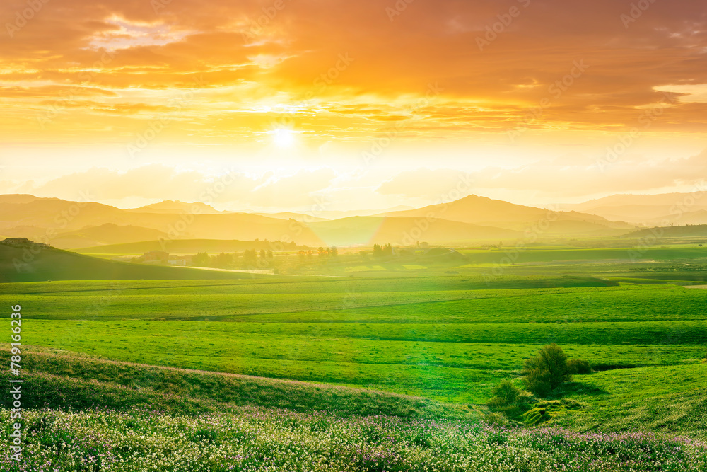 Scenic view at beautiful spring sunset in a green shiny field with green grass and golden sun rays, beautiful cloudy sky on a background