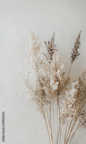 A Bunch of Dried Flowers in a Vase