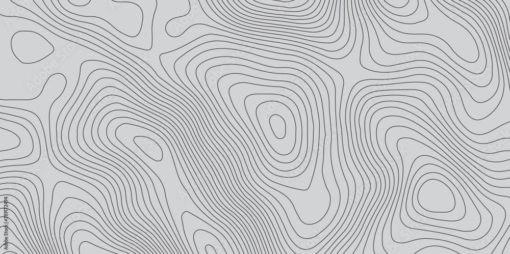 Abstract gray topography contour map background design .geometric black wave curve lines texture .abstract topographic map with wave line pattern . Abstract gray topography contour map background design .geometric black wave curve lines texture .abstract topographic map with wave line pattern .