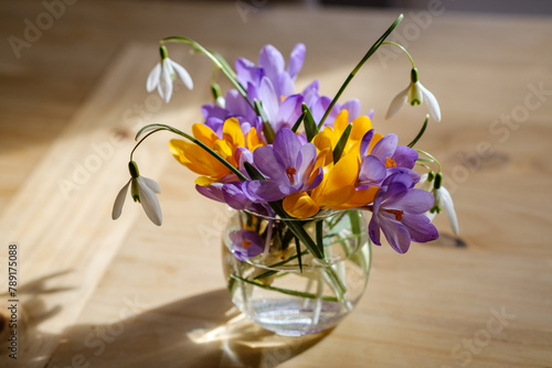 Bouquet of purple crocus in vase. Spring flowers in a vase.