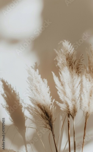 White Vase on White Dresser