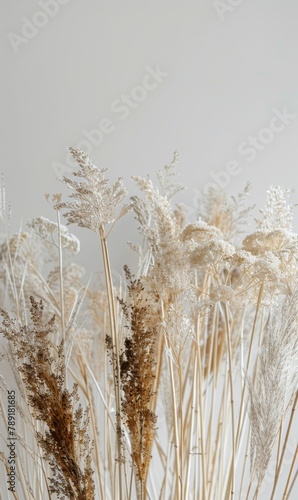 Field of Tall Grass With Sky Background