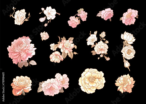 Blossom trees with birds swallow and parrots. Set, element for design. Vector illustration. In Chinoiserie, botanical style