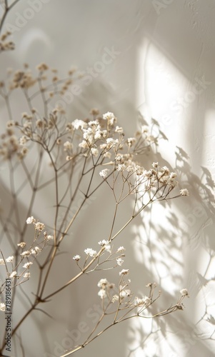 Vase With White Flowers