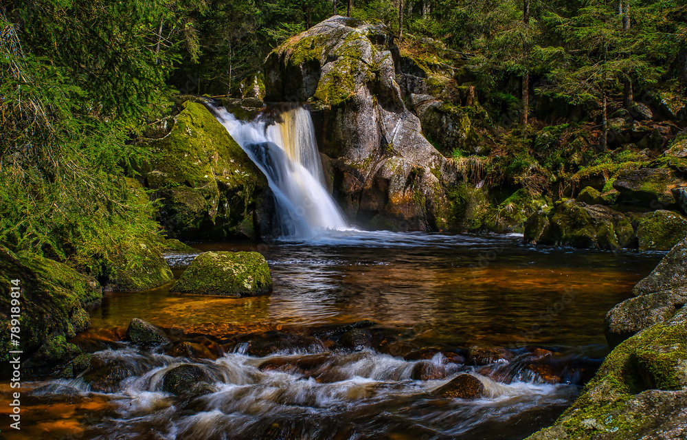 Forest waterfall. Waterfall in the forest Forest waterfall. Waterfall in the forest