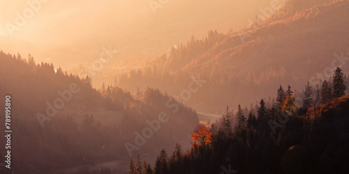 wonderful autumn sunrise image in mountains, autumn morning dawn, nature colorful background, Carpathians mountains, Ukraine, Europe 