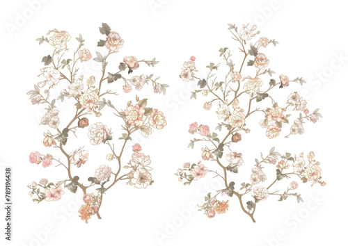 Blossom tree Clip art, set of elements for design Vector illustration. In chinoiserie, botanical style Isolated on white background.