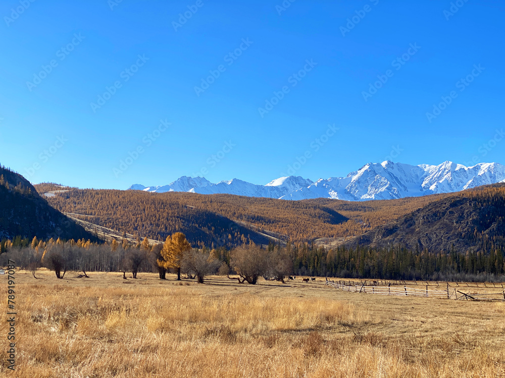 Mountain landscape. The beautiful nature of Altay. 
