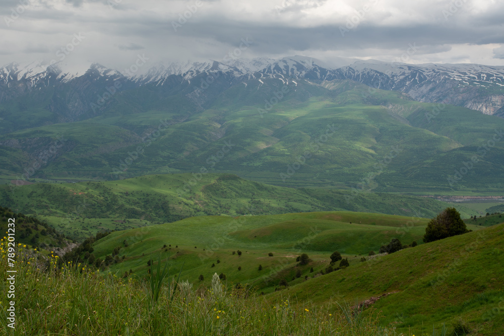 Fototapeta premium Beautiful green landscape in the mountains 