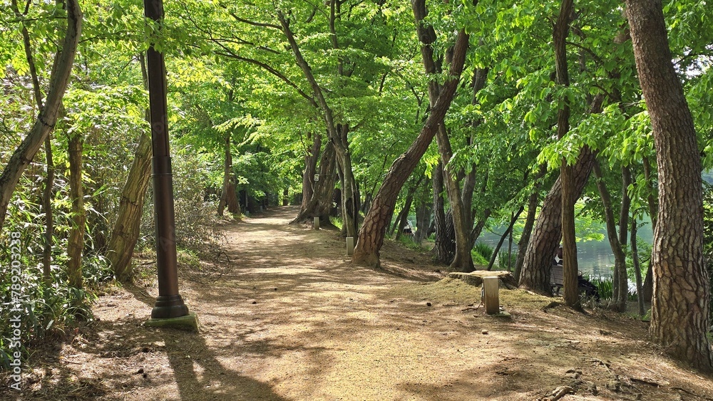 Fototapeta premium 봄 공원 풍경, 산책로