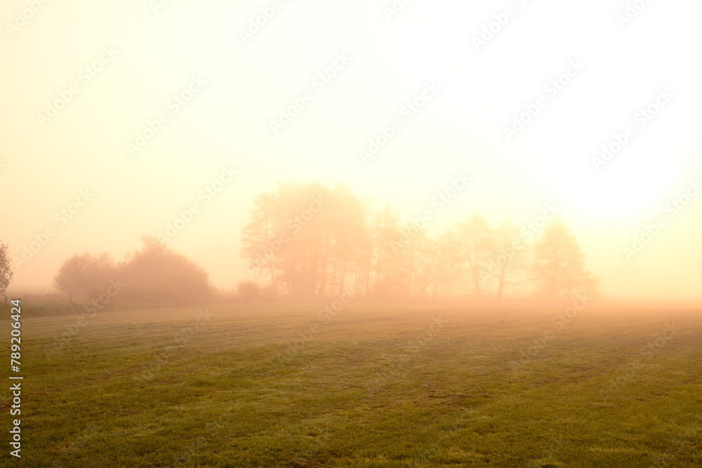Friesischer Nebel - von strahlenden Sommermorgen bis zu milchigen Wintertagen - Frieslands sanfte Seite 4
