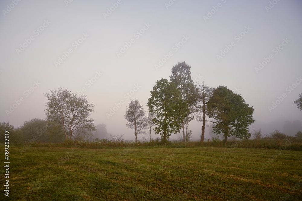 Obraz premium Friesischer Nebel - von strahlenden Sommermorgen bis zu milchigen Wintertagen - Frieslands sanfte Seite 6