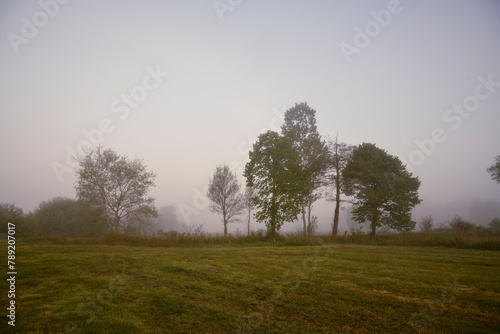 Wallpaper Mural Friesischer Nebel - von strahlenden Sommermorgen bis zu milchigen Wintertagen - Frieslands sanfte Seite 6 Torontodigital.ca