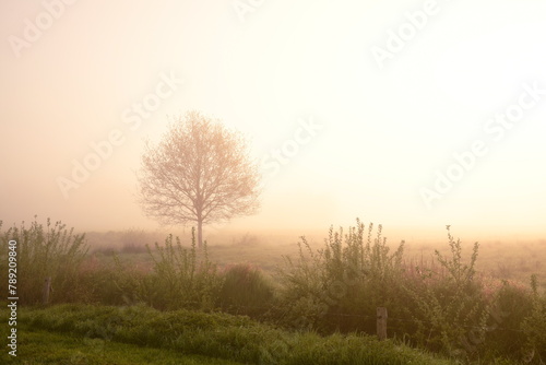 Friesischer Nebel - von strahlenden Sommermorgen bis zu milchigen Wintertagen - Frieslands sanfte Seite 41 photo