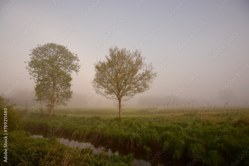 Friesischer Nebel - von strahlenden Sommermorgen bis zu milchigen Wintertagen - Frieslands sanfte Seite 21 Friesischer Nebel - von strahlenden Sommermorgen bis zu milchigen Wintertagen - Frieslands sanfte Seite 21