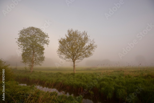 Friesischer Nebel - von strahlenden Sommermorgen bis zu milchigen Wintertagen - Frieslands sanfte Seite 21