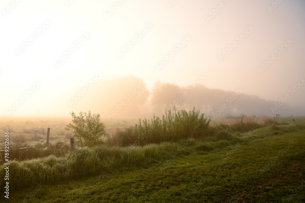 Friesischer Nebel - von strahlenden Sommermorgen bis zu milchigen Wintertagen - Frieslands sanfte Seite 24