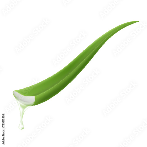 Essence from aloe vera plant drips from stem. Aloe Vera collagen Serum Skin Care Cosmetic. Realistic 3d isolated vector illustration. Template packaging label skin care products design.