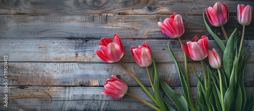 Artistic background featuring spring tulips on wooden surface for design. #789214413