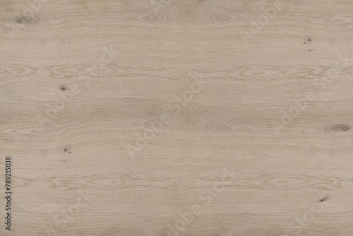 Surface of a natural untreated rustic style oak veneer texture background wallpaper without varnish, glaze or oil with knotholes