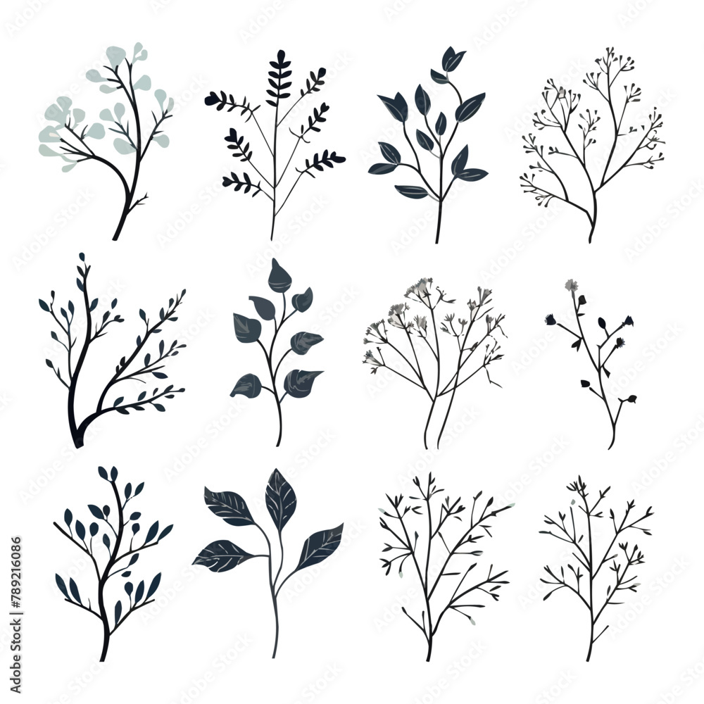 Set of elegant silhouettes of flowers, branches and leaves. Thin hand drawn vector botanical elements Set of elegant silhouettes of flowers, branches and leaves. Thin hand drawn vector botanical elements