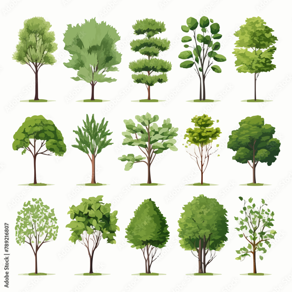 Fototapeta premium Trees collection set. Green plants with leaves, garden botanical, realistic vector illustration isolated on white background