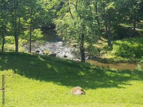 Estonia. Toila Oru Park is one of the pearls of Ida-Viru County. It's a great place to walk around.
 photo