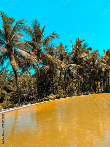 Greenery garden pond against blue sky and surrounded bay coconut trees