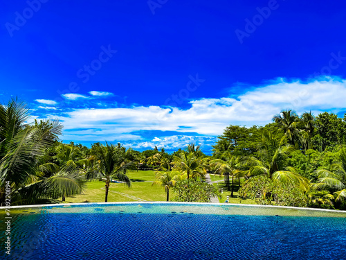 Greenery garden pond against blue sky and surrounded bay coconut trees