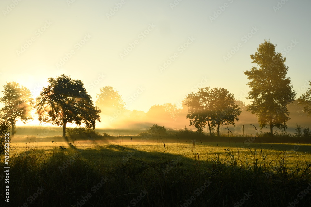 Friesischer Nebel - von strahlenden Sommermorgen bis milchigen Wintertagen - Die Morgensonne strahlt durch den sommerlichen Frühnebel 22