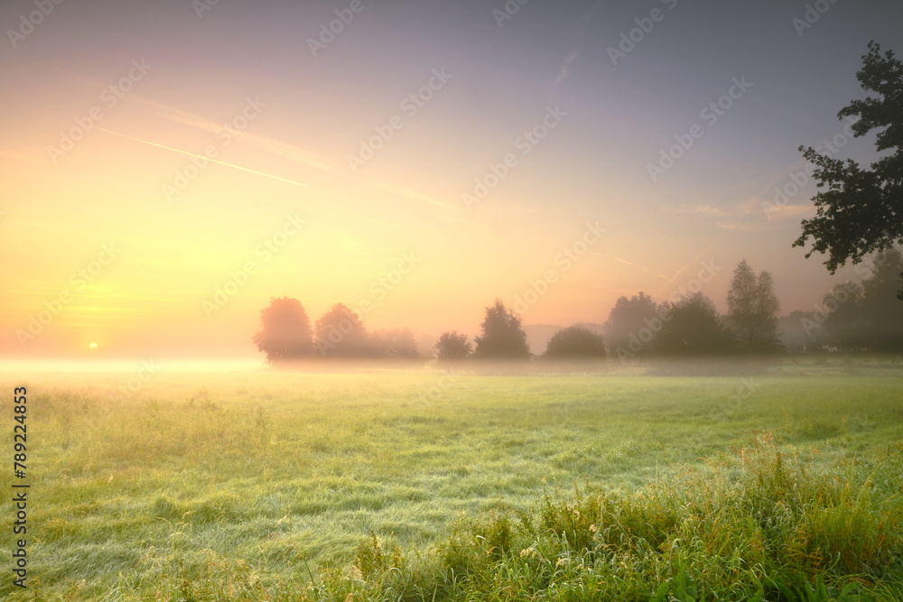 Obraz premium Friesischer Nebel - von strahlenden Sommermorgen bis zu milchigen Wintertagen - Frieslands sanfte Seite 36