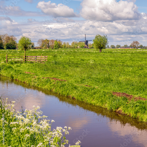 Dutch polder landscape in the spring season. In the foreground cow parsley blooms at the edge of a ditch. In the background is a historic polder mill. The photo was taken near the village of Meerkerk.