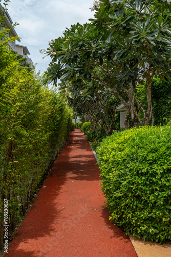 Red path in the garden in hot sunny weather between trees and bushes at a tropical resort.