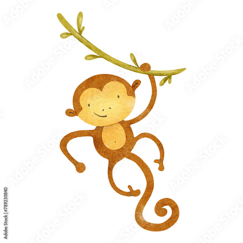 Photography Cute baby monkey hanging on liana