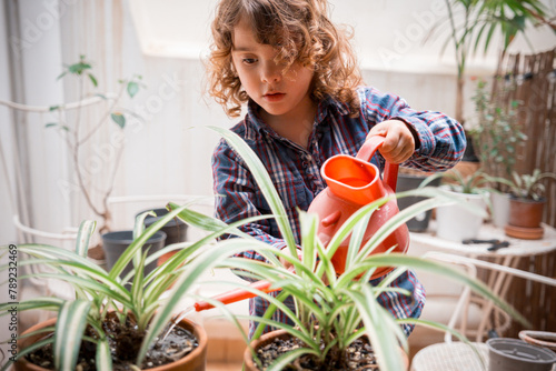 Child caring for houseplants with a watering can photo