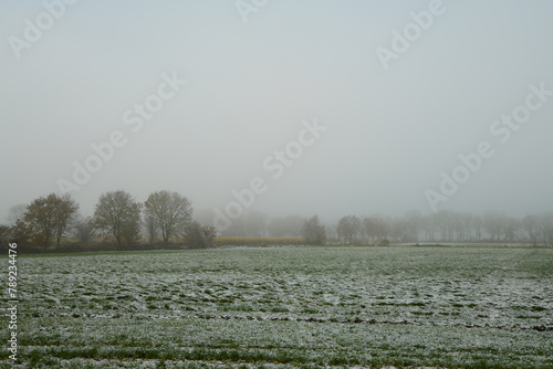 Friesischer Nebel - von strahlenden Sommermorgen bis milchigen Wintertagen - Winternebel 3