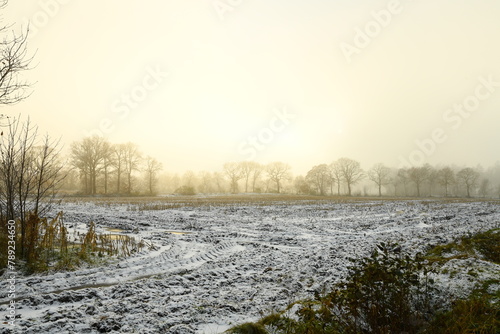Friesischer Nebel - von strahlenden Sommermorgen bis milchigen Wintertagen - Winternebel 2