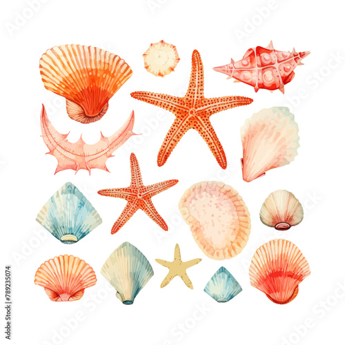 Assorted Watercolor Seashells and Starfish. Vector illustration design.
