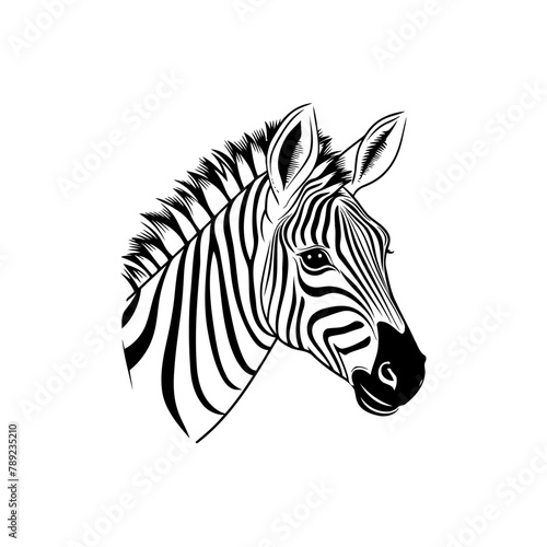 Monochrome Zebra Head Artwork Hand drawn style. Vector illustration design
