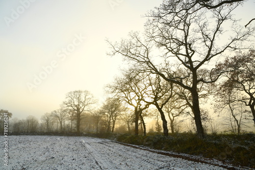 Friesischer Nebel - von strahlenden Sommermorgen bis milchigen Wintertagen - Winternebel 7