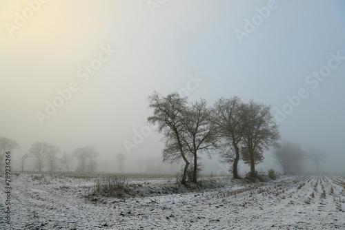 Friesischer Nebel - von strahlenden Sommermorgen bis milchigen Wintertagen - Winternebel 8