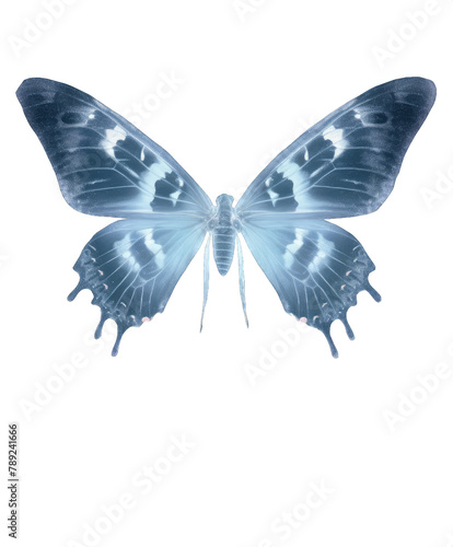 X-ray butterfly png object. Aesthetics of X-rays. Generative AI