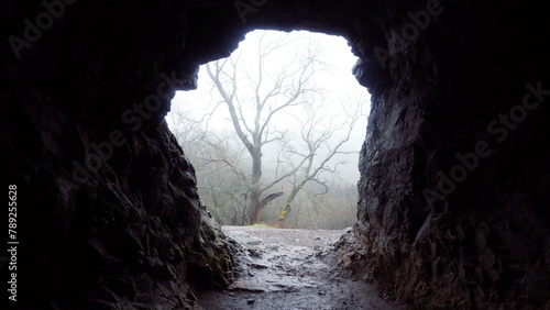 Looking out of a cave entrance on a atmospheric misty day in a forest. With trees in the background.