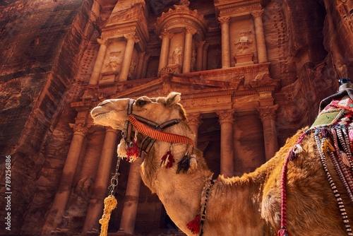 Majestic Encounter: Camel in Front of the Treasury Building of Petra, an Ancient City in Southern Jordan, Dating Back to the 4th Century BC, in Full 4K image photo